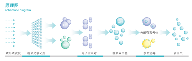 图片 1(2)