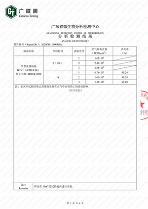 检测报告1