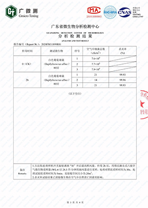 检测报告